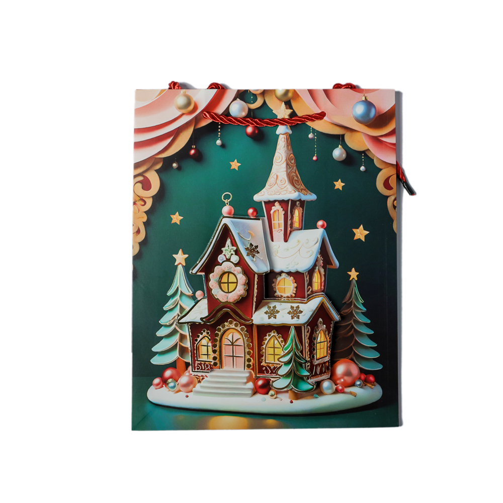 PUNGA CADOU CRACIUN 18X23X10CM 3D GM20-1