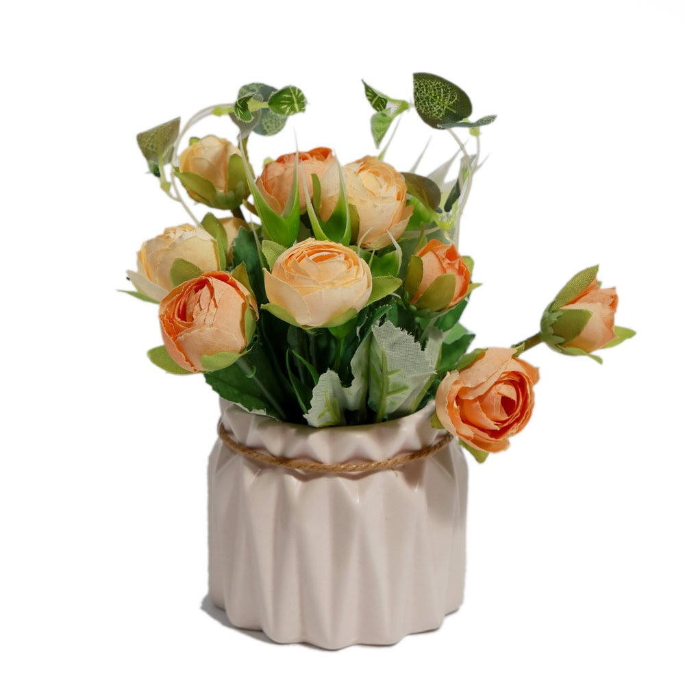 PLANTE DECORATIVE IN GHIVECI G64-3