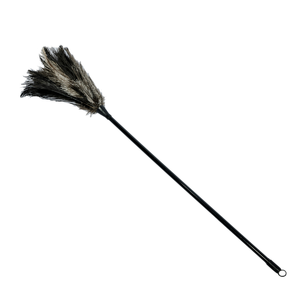 PAMATUF PENTRU PRAF GM28-4