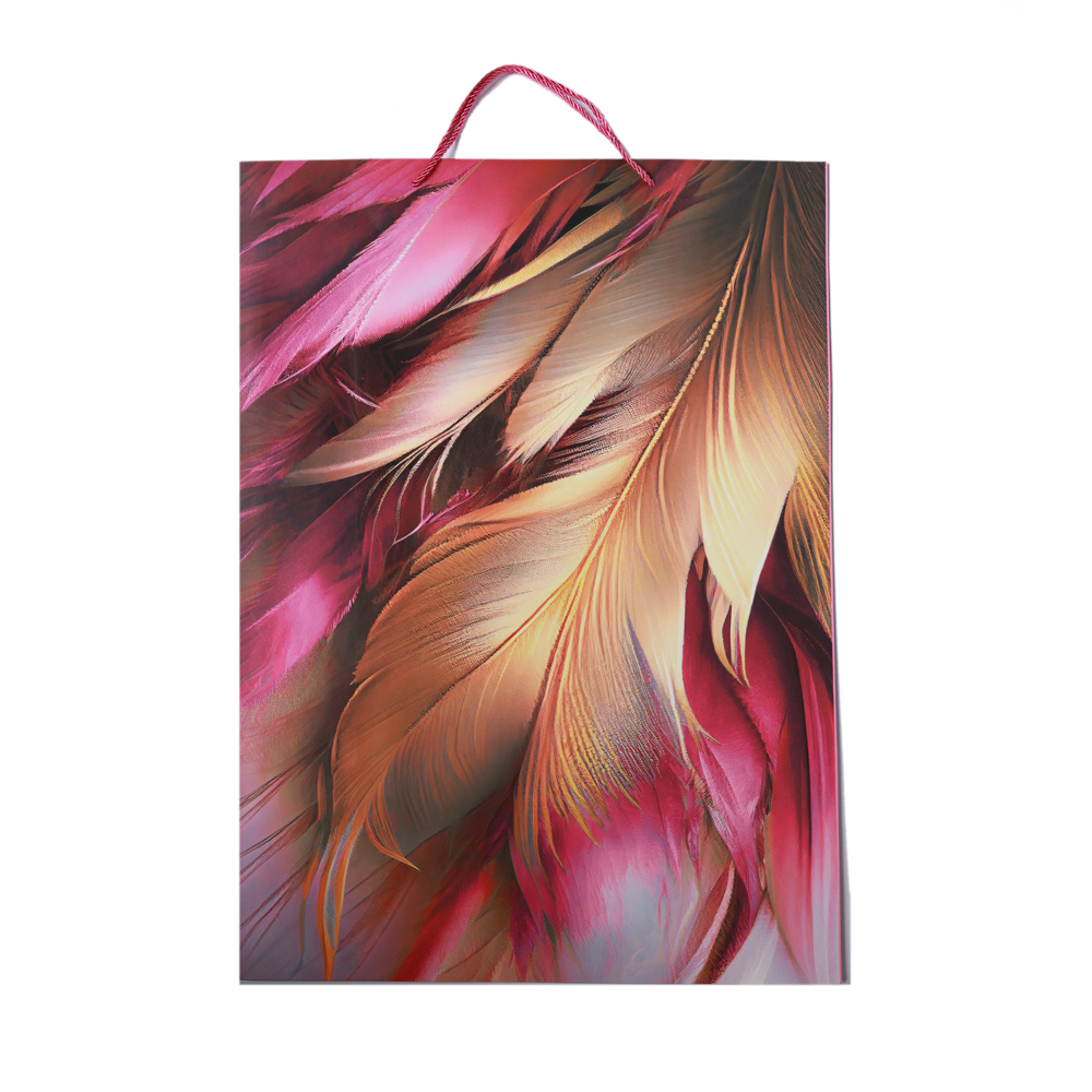 PUNGA CADOU 55X45X20CM GL1-10